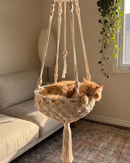 Ginger cat asleep in the Cloudpurr hanging cat bed in a living room