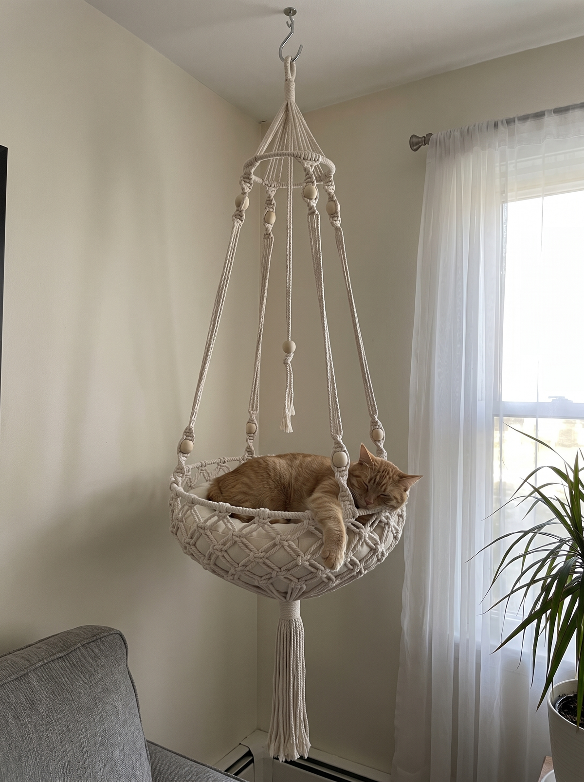Orange tabby asleep in the Cloudpurr hammock in a living room by the window