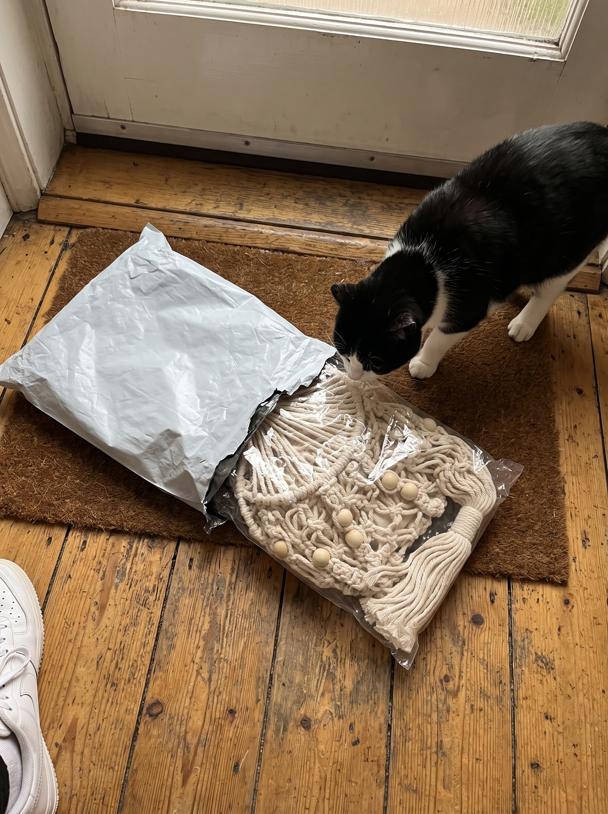 Tuxedo cat sniffing the Cloudpurr parcel at the door