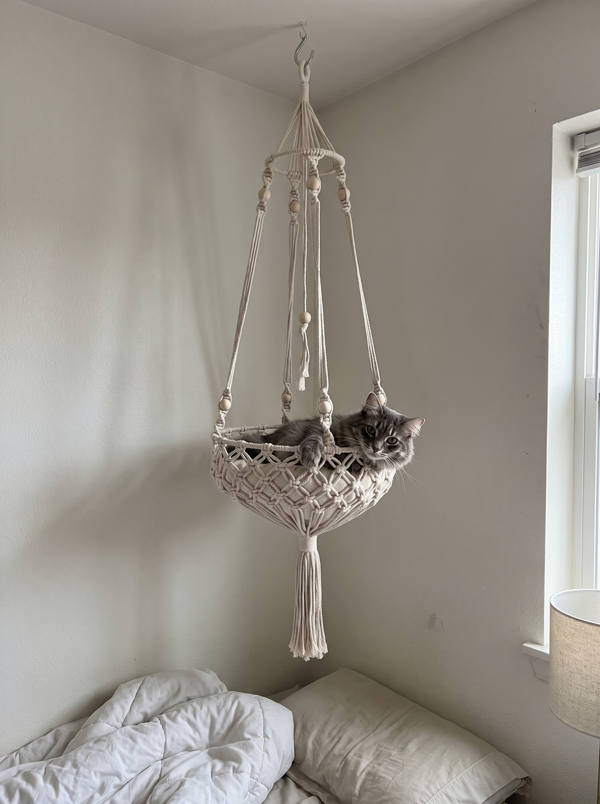 Grey cat with its paws over the rim of the Cloudpurr hammock in a bedroom corner